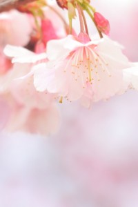 IMG_5122