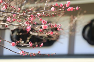 IMG_5711