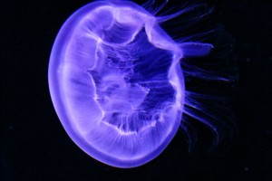 IMG_6198