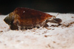 IMG_6273