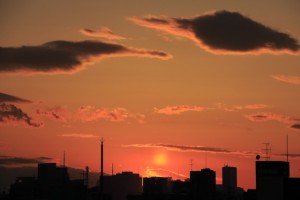 IMG_6607