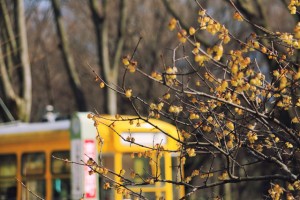 IMG_7876